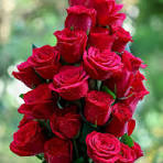 flowers-vase-still-like-baroque-style